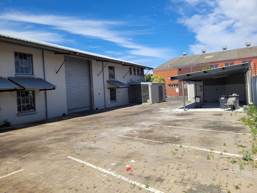 To Let Commercial Property for Rent in Paarden Eiland Western Cape